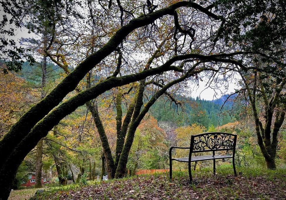 Avenue Of The Giants Pepperwood Place Miranda 外观 照片